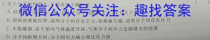 贵州2023年六校联盟高三下学期适应性考试(四)4l物理