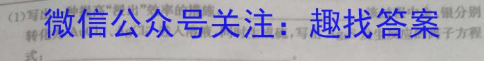 ［衡水大联考］2024-2023学年度下学期高三年级4月联考（新教材-X）化学