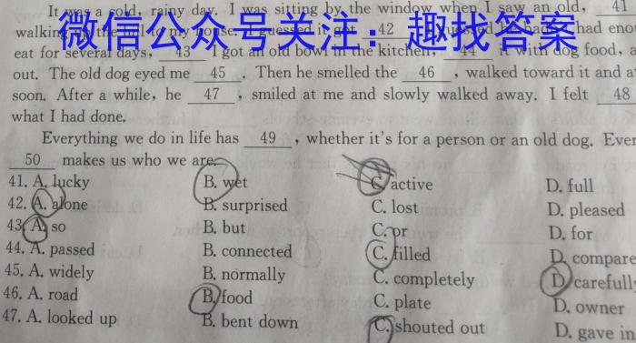 安徽省2023届九年级下学期教学质量检测（六）英语