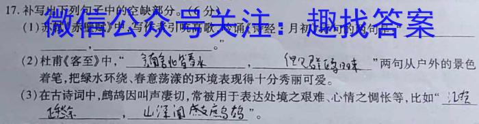 2023普通高校招生全国统一考试·全真冲刺卷(四)语文