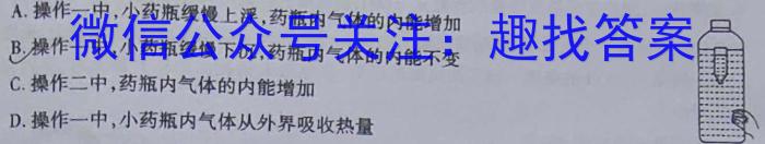 中考模拟系列2023年河北省中考适应性模拟检测(强化二)物理.