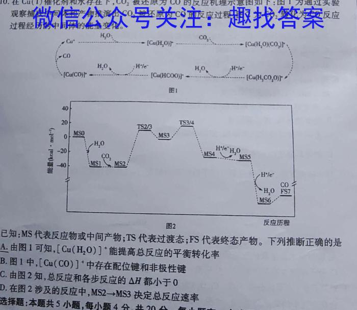 2024-2023学年河南省高二期中考试(23-389B)化学