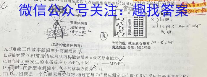 安师联盟2023年中考权威预测模拟考试（八）化学