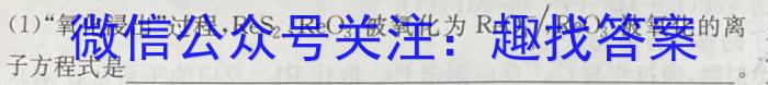 2023年普通高等学校招生全国统一考试·调研模拟卷XK-QG(一)化学