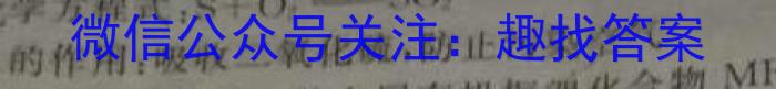 2023年山西初中学业水平考试·诊断卷（二）化学
