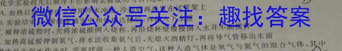 2023年湖南省普通高中学业水平合格性考试模拟试卷(四)化学