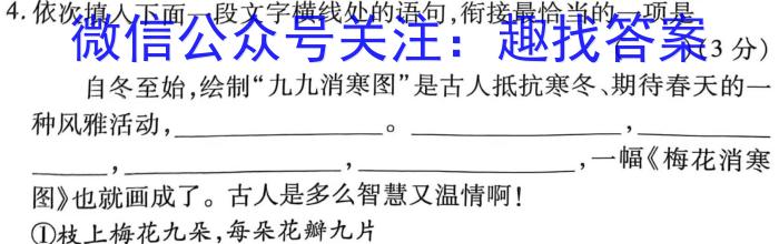 江西省2023年第四次中考模拟考试练习语文