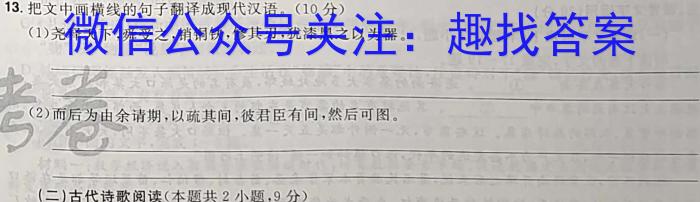 华普教育 2023全国名校高考模拟冲刺卷(二)语文