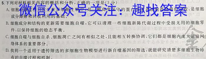 安徽省芜湖市无为市2022-2023学年九年级中考模拟检测（一）语文