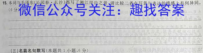 2023年陕西省初中学业水平考试·冲刺压轴模拟卷（二）语文