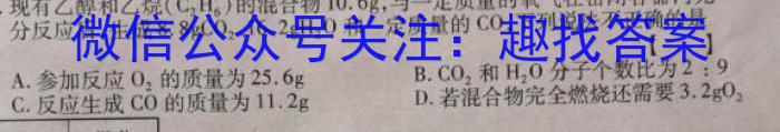 2023年陕西省初中学业水平考试模拟卷（A版）化学