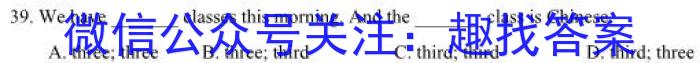 安徽省颍上县2023届九年级教学质量检测英语