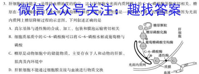 九师联盟2024-2023学年高三3月质量检测(X)生物