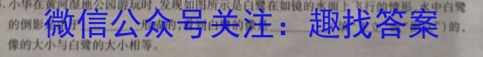 中考仿真卷2023年山西省初中学业水平考试(五)f物理