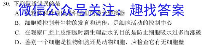 2023年普通高等学校全国统一模拟招生考试 新未来4月高一联考l地理