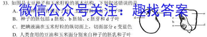 2023年4月玉林市高三年级教学质量检测s地理