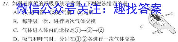 金考卷2023年普通高等学校招生全国统一考试 新高考卷 押题卷(三)政治试卷d答案