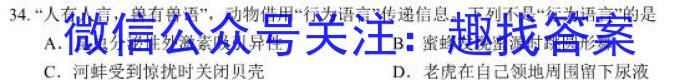 2023衡水金卷先享题压轴卷 新教材B(一)s地理