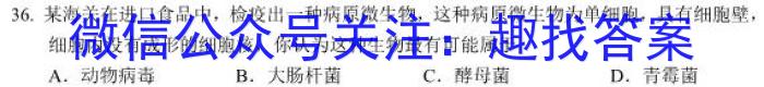 2023届全国普通高等学校招生统一考试 JY高三冲刺卷(一)s地理