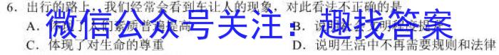 陕西省临渭区2023年九年级中考模拟训练(一)历史