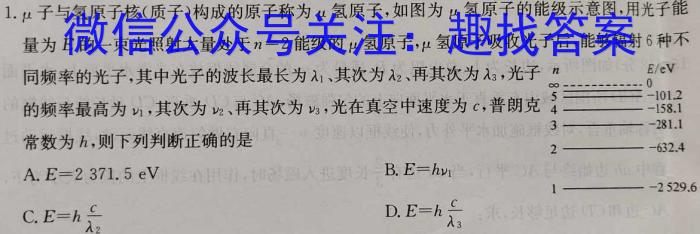 佩佩教育·2023年普通高校统一招生考试 湖南四大名校名师团队模拟冲刺卷(4)l物理