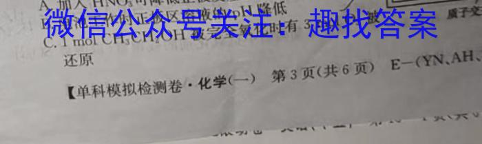 2023年陕西省初中学业水平考试•全真模拟（三）A版化学