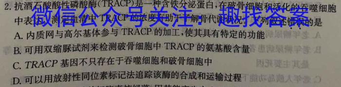 2023年高考冲刺模拟试卷(四)4生物