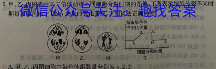 学林教育2023年陕西省初中学业水平考试·名师导向模拟卷(一)B生物