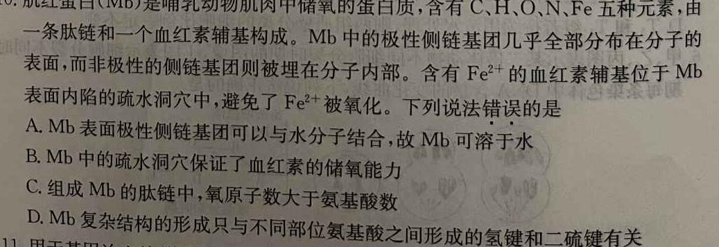河南省豫北名校普高联考2022-2023学年高三测评(五)生物