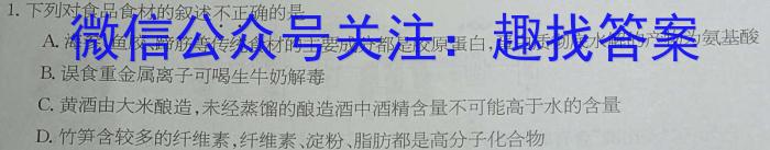 江西省2023届九年级《学业测评》分段训练（六）化学