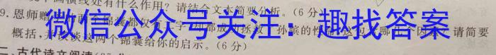 2023年河南六市高三年级4月联考语文