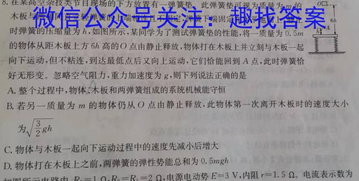 陕西省2023届九年级模拟检测卷(23-CZ135c)物理.