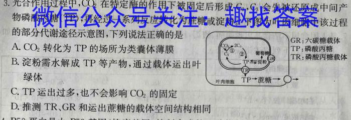 九师联盟2022-2023学年高三3月质量检测(X)生物试卷答案