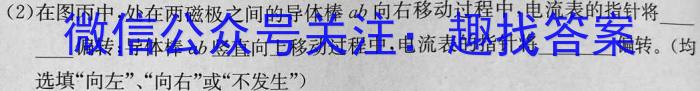 安徽省2023届九年级下学期教学评价二（期中）f物理