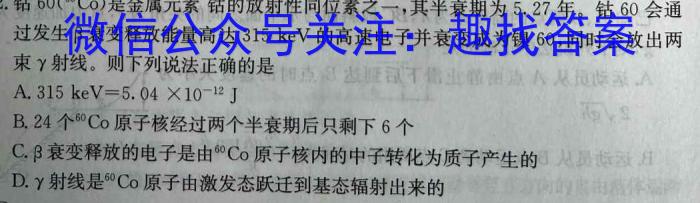 2023届智慧上进·名校学术联盟·高考模拟信息卷押题卷(十二)物理.