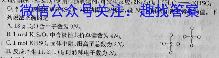 学林教育2023年陕西省初中学业水平考试·名师导向模拟卷(一)A化学