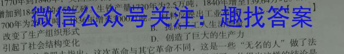 陕西省西安市西咸新区2023年初中学业水平考试模拟试题（一）B版历史