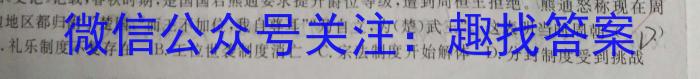 中考必刷卷·2023年安徽中考第一轮复习卷（十）历史