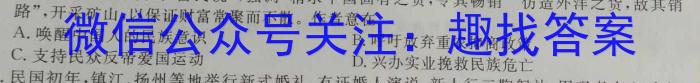 安徽省2022-2023学年度八年级下学期期中综合评估（6LR）历史试卷