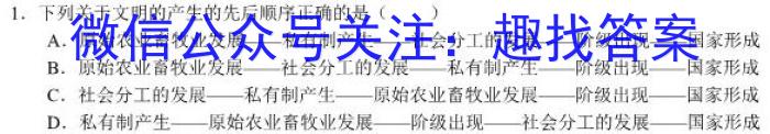 2022-2023学年山东省高二质量监测联合调考(23-356B)历史