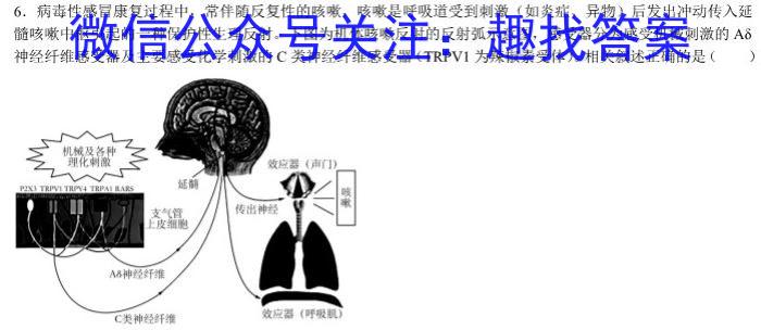 2023年湖南省普通高中学业水平合格性考试模拟试卷(二)生物