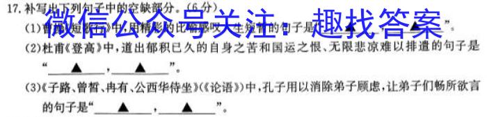 江淮名卷·2023年安徽中考模拟信息卷（七）语文