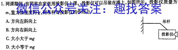 圆创联盟湖北省2023届高三高考模拟测试物理.