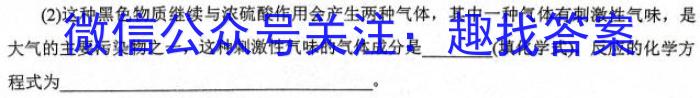 河南省2022-2023学年中原名校中考联盟测评（一）化学