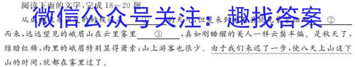 吴忠市2023届高考模拟联考试卷语文