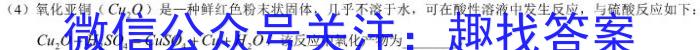 陕西省2023届九年级模拟检测卷(23-CZ135c)化学