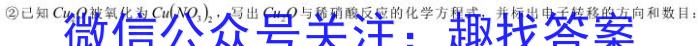 ［卓育云］2022-2023中考学科素养自主测评卷（六）化学