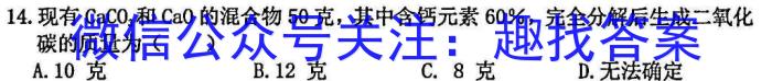 江西省2023年九年级模拟五化学