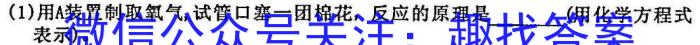 2023届西北师大附中高三模拟考试(2023年4月)化学