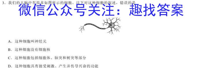 贵州2023年六校联盟高三下学期适应性考试(四)4生物